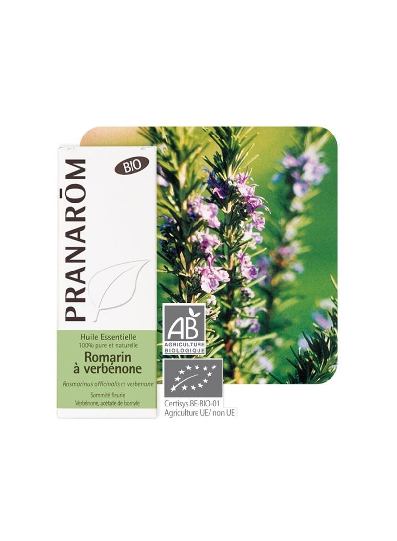 PRANAROM Pranarôm Bio Essential Oil Verbenone Rosemary (Rosmarinus officinalis CT verbenone) 5 ml - Image 2
